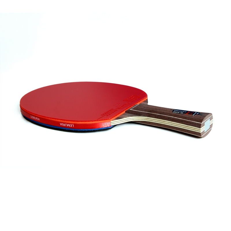 Ракетка для настольного теннис – обзор и цена Table Tennis Review